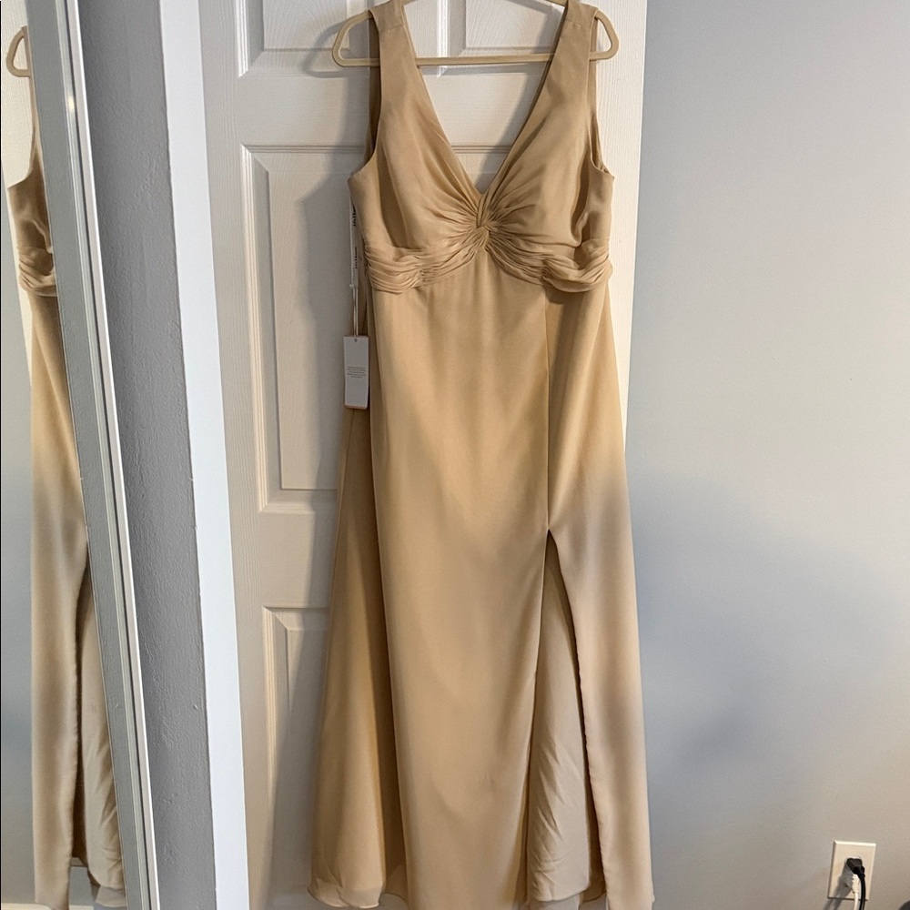 JJs House Women’s Beige (Champagne) Fully Lined Chiffon Gown - size 18w - NWT